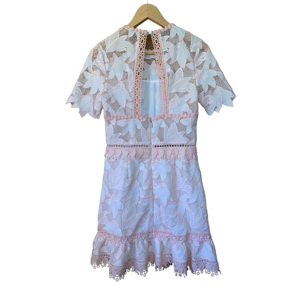 Saylor Birgit Floral Lace Mini Dress Blush Size S - Picture 5 of 12